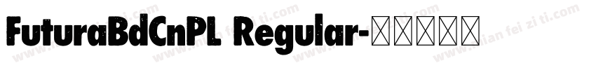 FuturaBdCnPL Regular字体转换